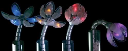 flor que refleja consumo eléctrico