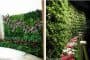 Muro vegetal con TerraScreen