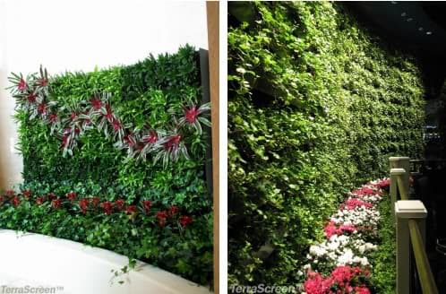 Muro_vegetal_terrascreen