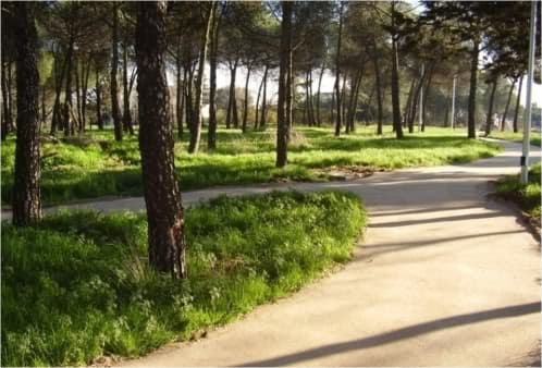Pavimento ecológico que parece tierra pavimento ecológico para exteriores