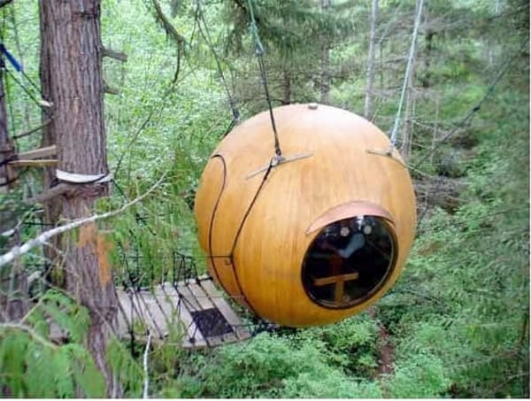 casa arbol esfera