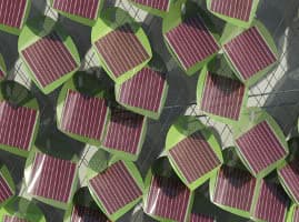yedra-artificial-fotovoltaica-detalle