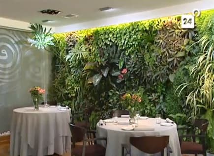 jardin-vertical-interior