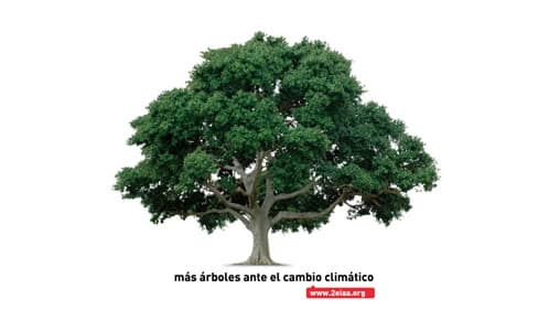 segundo_encuentro_amigos_arboles