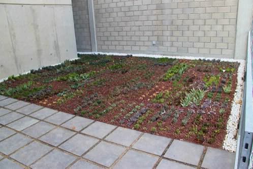 cubierta-vegetal-en edificio de Alicante