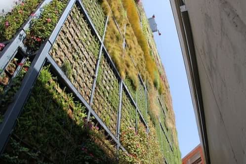 jardin-vertical San Vicente de Raspeig (Alicante, España)