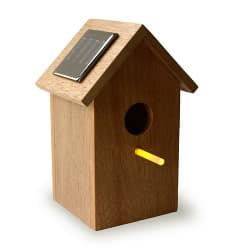 casa-solar-para-pajaros