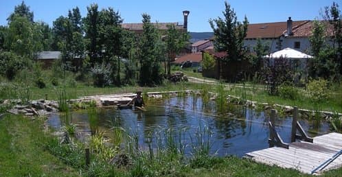 ejemplos de piscinas naturales