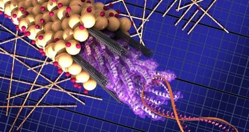 paneles-solares-virus-m13 paneles-solares-virus-m13