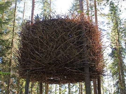 habitacion-TreeHotel-Nido_Pajaro-exterior