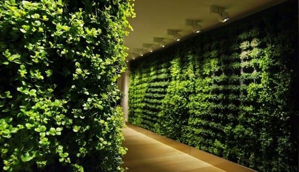 muros-vegetales-Greeworks