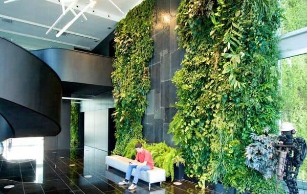 jardin-vertical-interior-vestibulo-oficinas-MSF-Lisboa