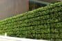 Tournesol: sistema de muros vegetales