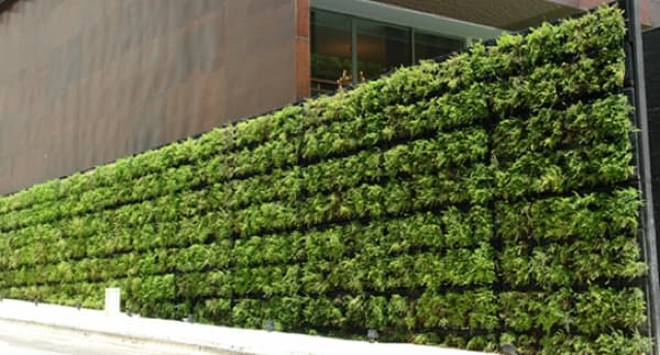 Tournesol-VGM para muros vegetales