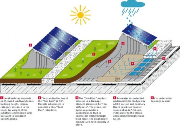 Sun-Root-Paneles-fotovoltaicos-azoteas-verdes-1