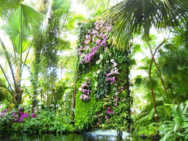 Jardines verticales de Patrick-Blanc en Nueva York