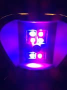 bombilla-LED-LPRIZE-Philips-6 bombilla-LED-LPRIZE-Philips-6