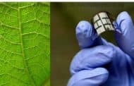 Células solares de plástico inspiradas en las hojas