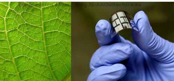 células solares inspiradas en las hojas