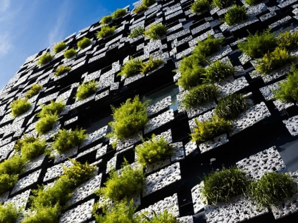 edificio de fachada verde