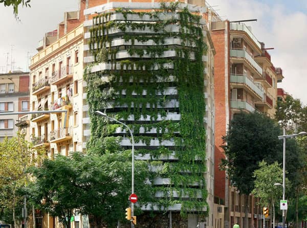 medianera-tapada-fachada-vegetal-Barcelona