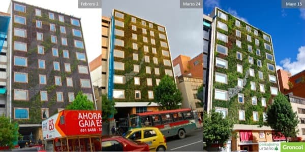 evolucion-jardin-vertical-Hotel-B3-Virrey