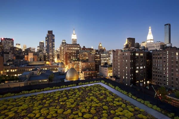 reforma-oficinas-Nueva_York-con-LEED-Platino-azotea sedum