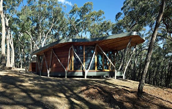 Trunk-House-cabaña hecha con madera del sitio