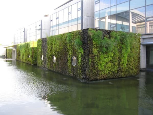 muro-vegetal-Ayuntamiento-Reikiavik-con piedra volcánica y musgo