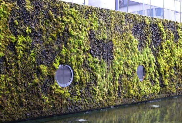 muro-vegetal-Ayuntamiento-Reikiavik-con piedra volcánica y musgo