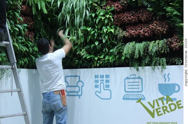 jardin-vertica-interior-I_Bank-Tesalonica