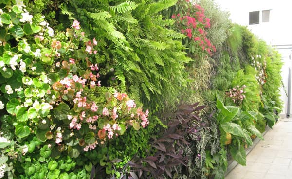 detalle-jardin-vertical-Clinica-Sagrado-Corazon-Sevilla