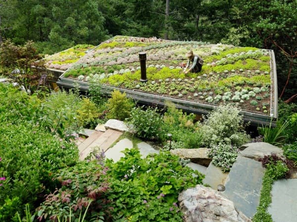 cubierta-ajardinada-casas-de-campo-Mill_Valley