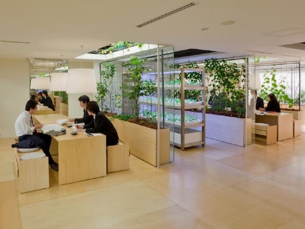 cultivos-y-espacios-de-trabajo-oficinas-Pasona
