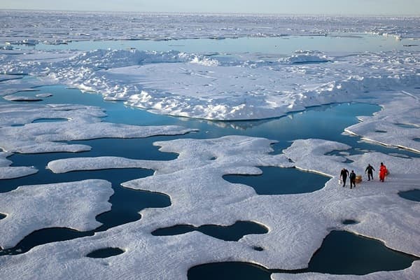 cientificos en el Artico