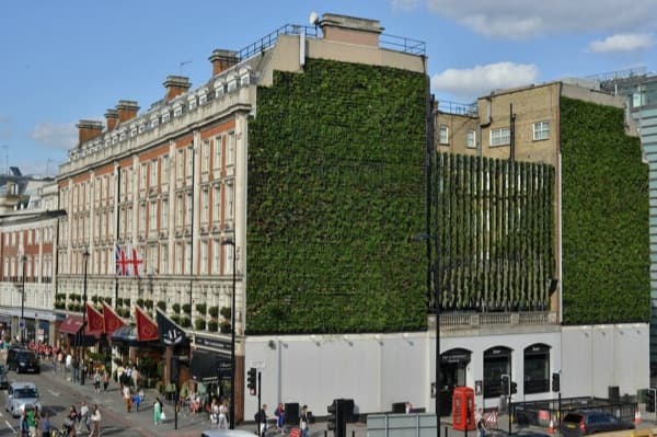 jardin-vertical-Hotel_The_Rubens_at_the_Palace