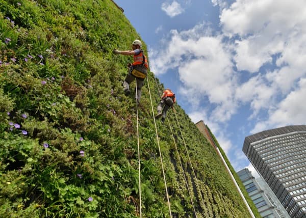 jardin-vertical-Rubens-at-the-Palace-Hotel