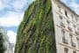 Oasis-Abukir-jardin-vertical-Paris