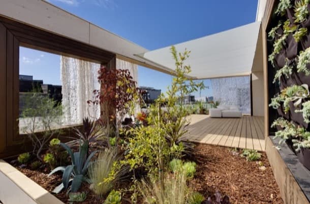 jardin-patio-casa-lisi-solardecathlon2013