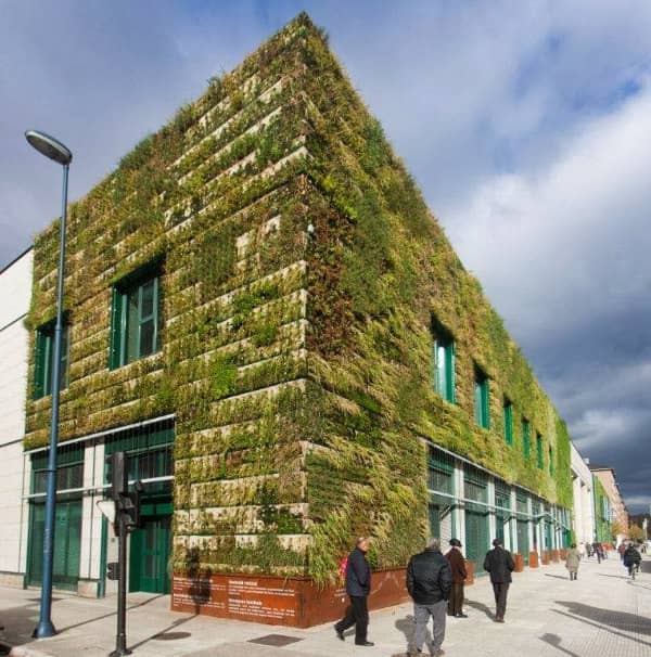 esquina-fachada-vegetal-Palacio-Congresos-Vitoria