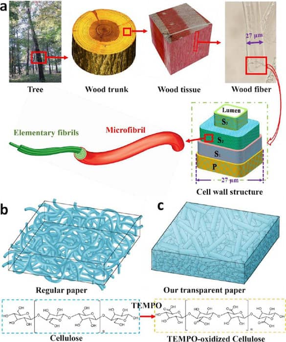 nuevo-papel-madera-transparente