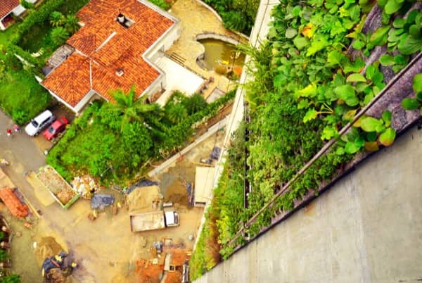 jardin-vertical-torre-Medellin-visto-desde-arriba