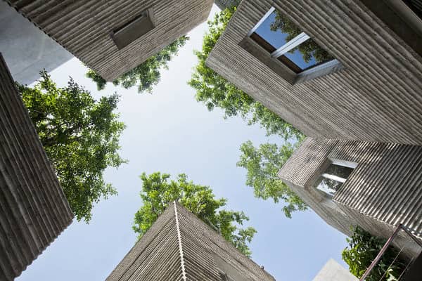 Casa-de-los-Arboles-cielo-patio