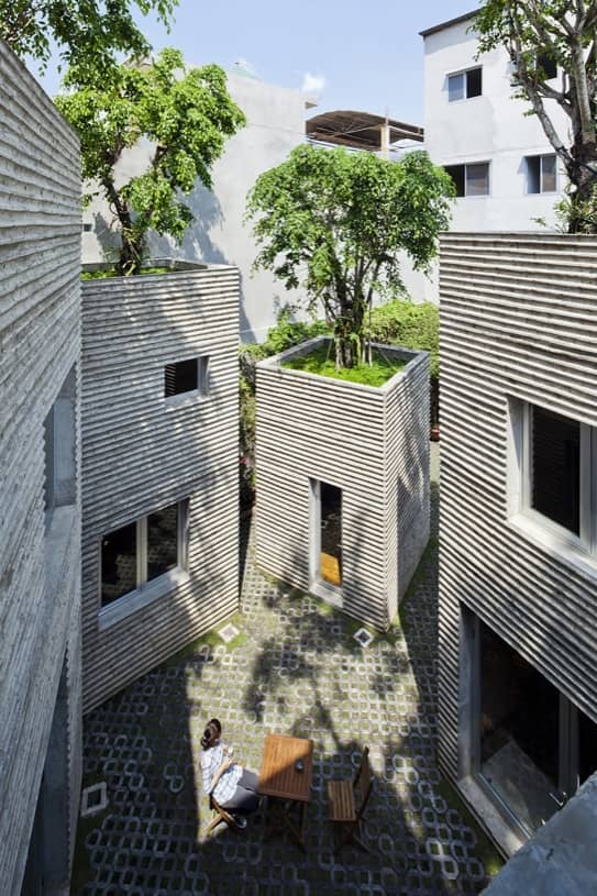 Casa de los Árboles: con jardín de gran espesor en su azotea