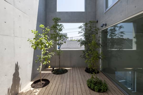 Casa_K-con patios ajardinados