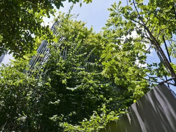 Green-Renovation-jardin-vertical-fachada