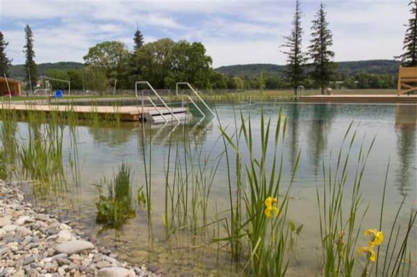 piscina natural Riehen-plantas