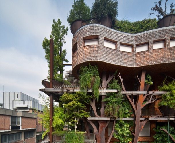 25-Green arquitectura con vegetación en Turín