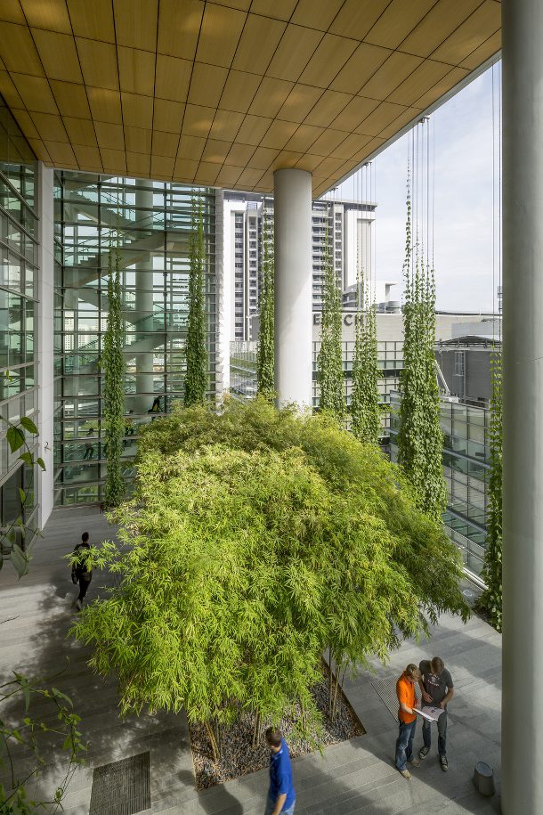 CREATE-arquitectura-sustentable