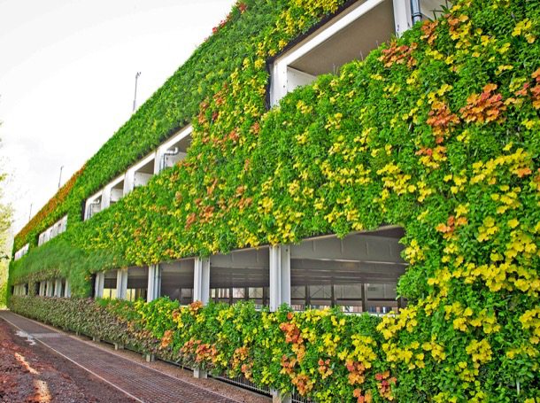 edificio de fachada verde